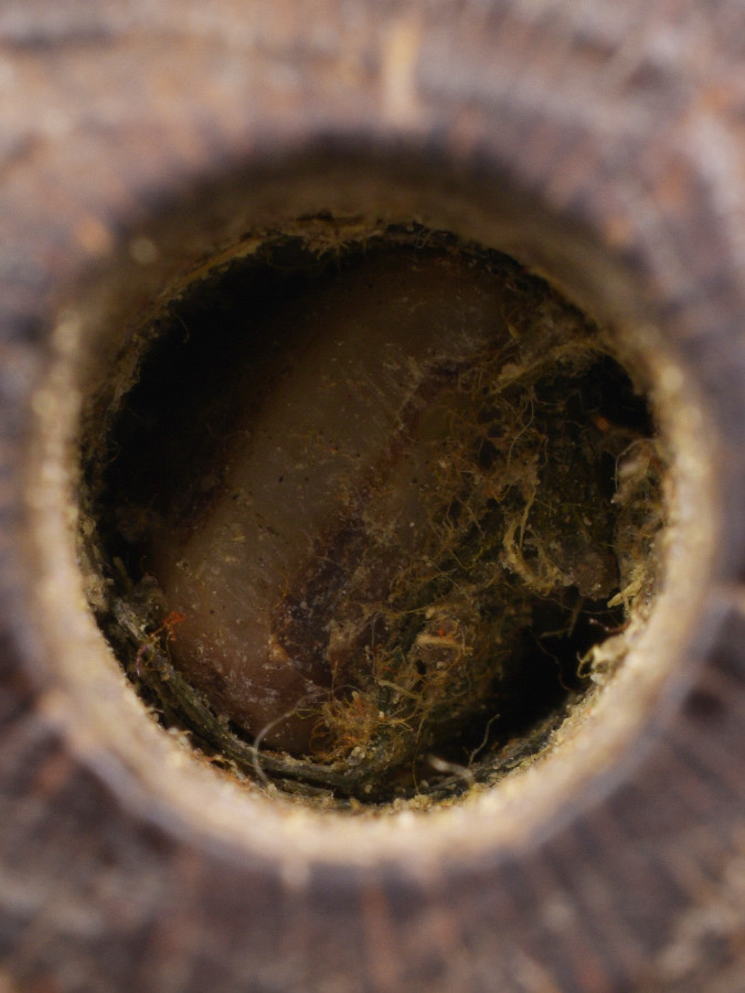 พระปิดตาภควัมปติ ลงรักปิดทองเก่า