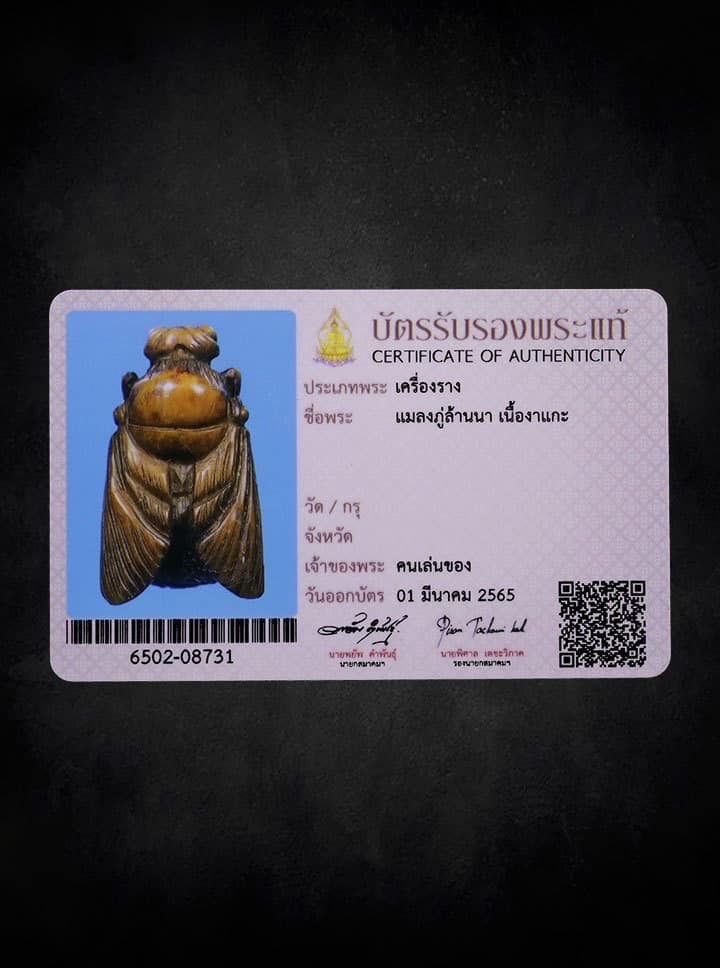 แมลงภู่คำ  เลี่ยมทอง มาพร้อมบัตรสมาคม