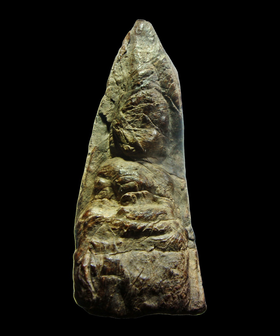 พระว่านจำปาศักดิ์ สวยสมบรูณ์