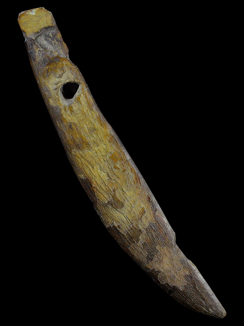 มีดแหกเขาควายเผือกล้านนา เขาควายอาถรรพ์