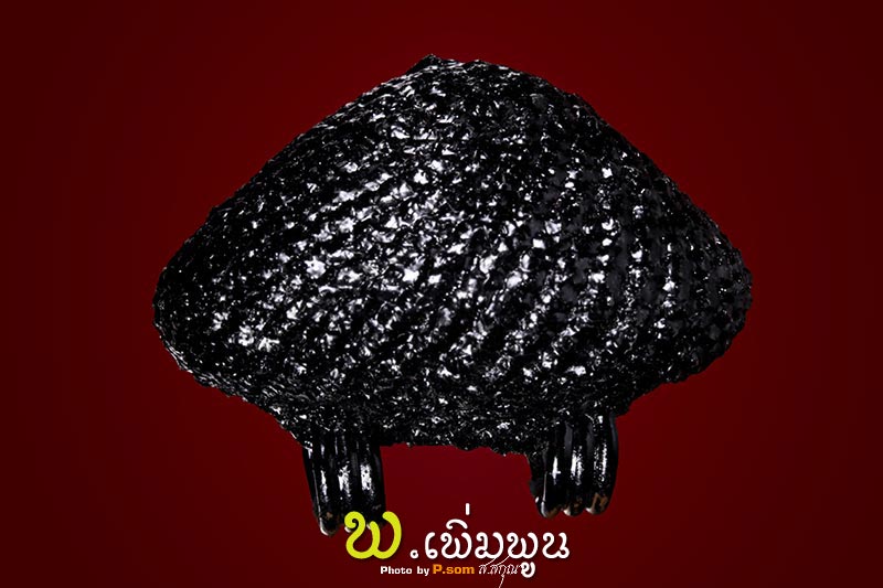 เบี้ยแก้หลวงปู่เจือวัดกลางบางแก้ว