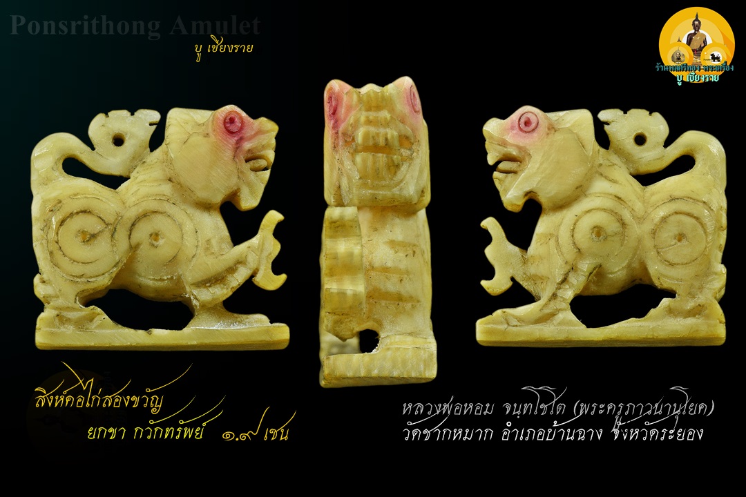 สิงห์งาแกะ คอไก่ยกขา กวักทรัพย์ พ่อหอม