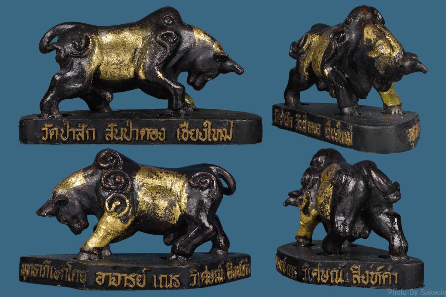 วัวธนูอาจารย์เณร วิเศษสิงห์คำ ขนาดเฝ้าบ้าน