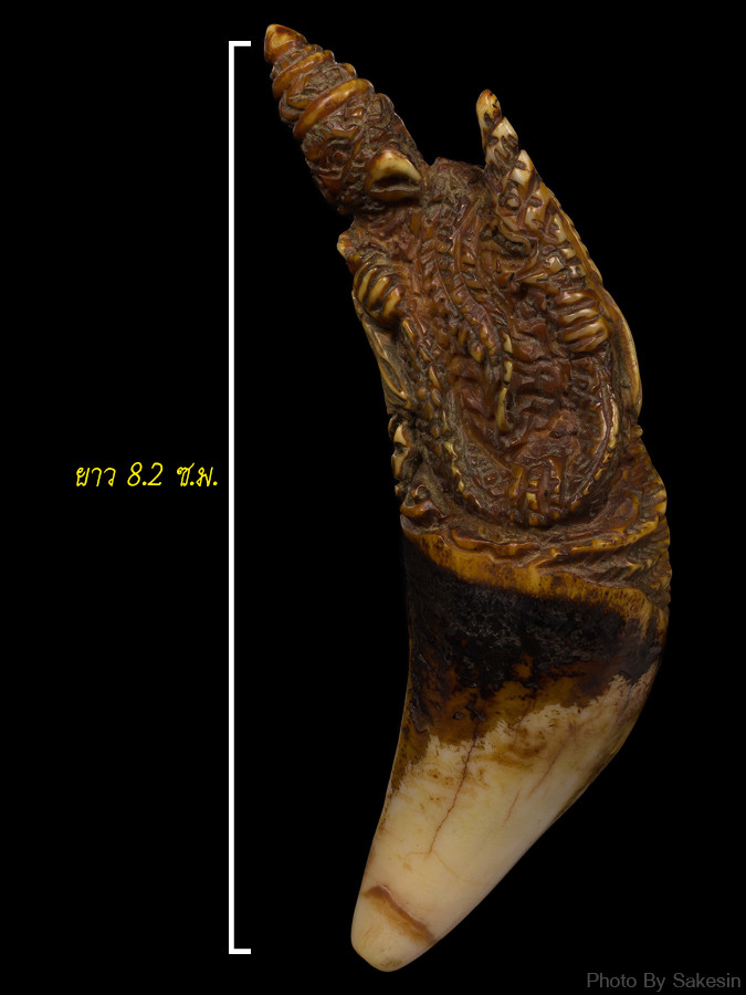 เขี้ยวหมีเเกะเก่า พญาครุฑจับพญานาค
