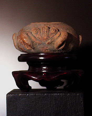 ***...ปูแพงที่สุดในโลก...***