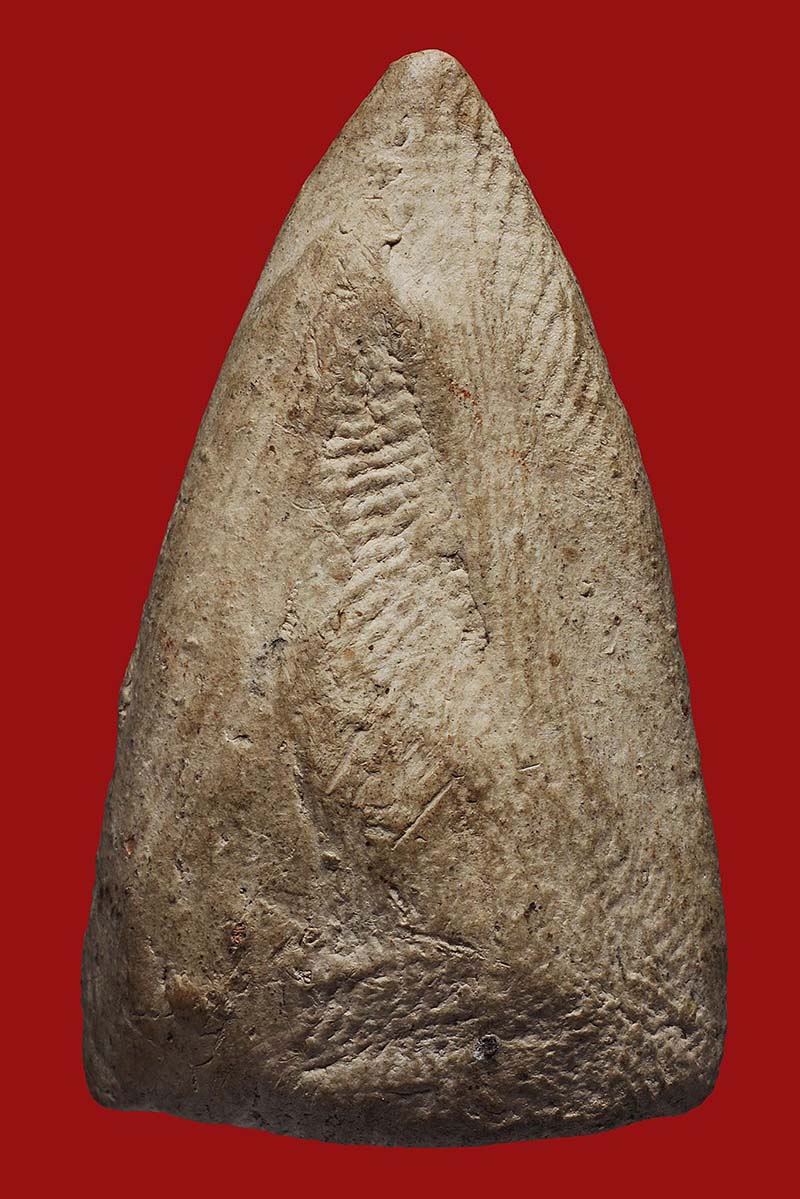 พระอัฐิหลังย่นรุ่นแรกครูบาศรีวิชัย