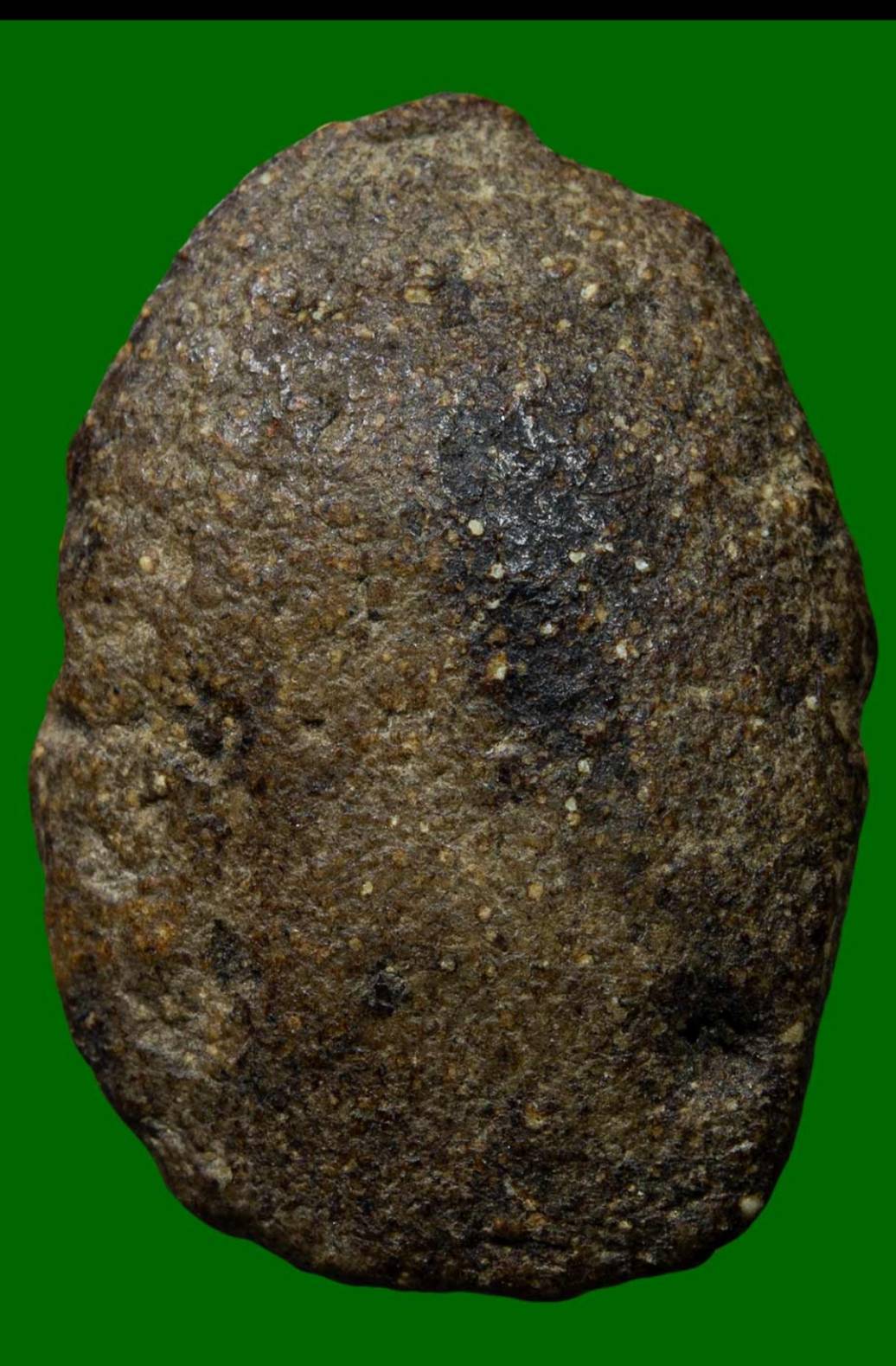 พระผงอัฐิ อ.หนู พิมพ์วัดพลับ เนื้อนิยม