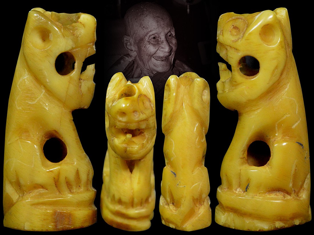 เสือครูบาน้อย วัดบ้านปง