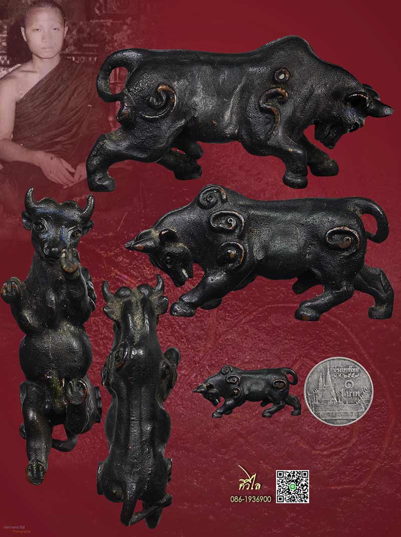 วัวธนูอาคม อาจารย์เณรวิเศษณ์ สิงห์คำ วัดป่าสัก สันป่าตอง ปี 2519 เนื้อทองแดงรมดำ มีจาร