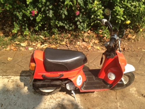 ขาย scooter Honda โบราณ 50cc.