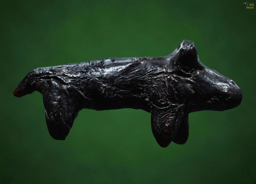 วัวธนู เนื้อครั่ง